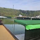 용연낚시터 이미지