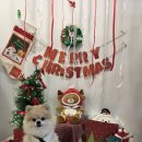 까까로운 이미지