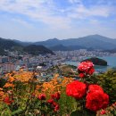 완도타워 이미지