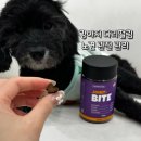 행복을다리는집 | 강아지 다리떨림 관리, 본아페티 조인트바이트 관절영양제 15살 노견 후기