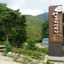 세걸펜션산장 네이버블로그