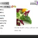 화훼장식기능사(초급) 이미지