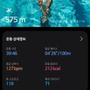 수영114 | 114일차 자유수영 일기