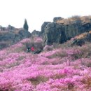 화개119지역대 이미지