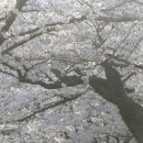 진남마을회관 이미지