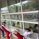 장평 소나무향기 태권도장 이미지