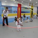 용인대 아이튼튼 태권도장 이미지