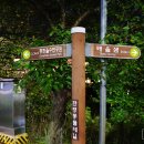 동화울수변공원~대전세관 네이버블로그
