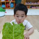 11500-15-14-27 | 25개월 아기 어린이집 적응 23일차｜텃밭 수확 체험,급성 인후염 소아과 진료 (생후 25개월 27일)