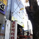 경주 타이어 싼곳 : 경주타이어에서 엔진오일 교체 후기