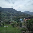 비클래시 이미지