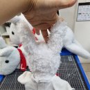 마마운동화 이불빨래방 의정부민락점 이미지