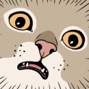 보약같은버섯전골 이미지