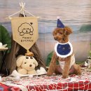 멍블리 수제간식 이미지