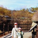 둘레길9구간 이미지