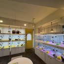 퍼스트펫 이미지