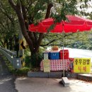 아지매김밥 이미지