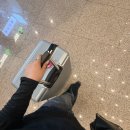 수민머리만들기 | 쫌쫌따리