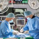 마음반려 동물의료원 | 수원 인계동 동물병원 24시마음반려동물의료원 위치 오는길 후기