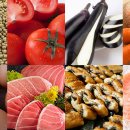 참치랑연어 이미지