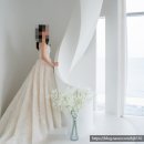 [w 14.]웨딩촬영 후기, 블랑드윈느 후기, 블랑드윈느 셀렉후기