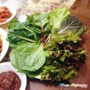 주식회사 안영 | 산지직송, 당일수확한 싱싱한 모듬쌈 / 쌈채소로 내가족의 건강을 생각하고 싶다면!? 지쿱 모듬쌈/쌈...