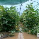 1027하우스 이미지