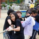 진월초등학교 운동장 이미지