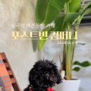 포스트빈컴퍼니 이미지