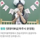 댕댕이뽀샵 이미지