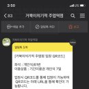 거북이의기적 이미지