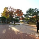 대구광역시립중앙도서관 Daum카페