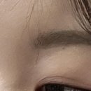 디얼유브로우