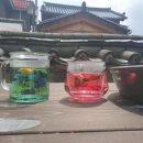 일정로1(남) 이미지