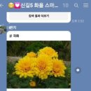 신길5동 주민센터 내 이미지