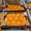 758번째 기록. 원촌동 파머스 배지래빗.(물건좋고 믿음이가는곳. 솔직한후기.)