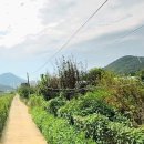 대전시 유성구 그린벨트해제 예정지역 역세권 342 이미지