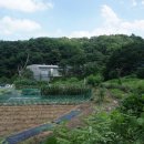 (주)해피팜스 이미지