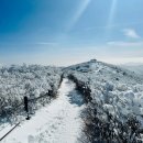 장군봉체육관 | 태백산 눈축제 2025 (일정·코스·꿀팁)