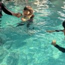 시티존 | 아이랑 인천 파라다이스 시티 수영장 키즈존 위치 이용후기