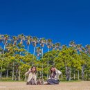 리벤시아 호텔 이미지