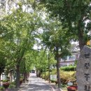 주포초등학교 | [보령가볼만한곳] 보령읍성(성곽)-충청수영성(오천성) &lt;RoAD&gt;