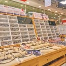 지니스 내동점 이미지