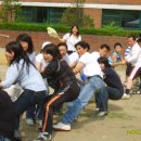 봉서초등학교 이미지