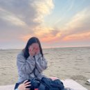 오션스파트너스 | 태안노을숲캠핑장 내돈내산 후기 캠핑요리밀키트 쿠팡 추천