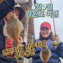 다잡아낚시 이미지