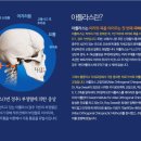 손발척척정형외과의원 네이버블로그
