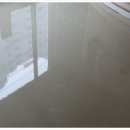 다산 봄 동물병원 이미지