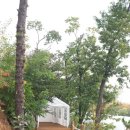 낭만농장 이미지