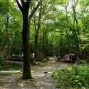 국립운문산자연휴양림야영장 이미지